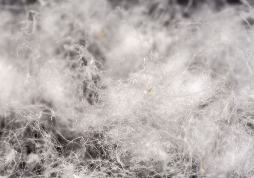 Výhody páperových búnd - prečo si ich kúpiť?