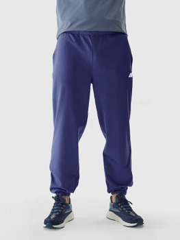 Pánske tepláky 4F 4FWAW24TTROM1277-31S