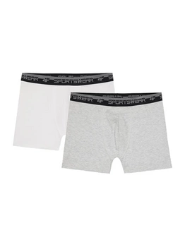 Pánske boxerky (sada 2 párov) 4F