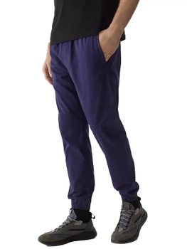 Pánske tepláky joggers 4F