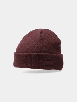 Pánska zimná čiapka 4F